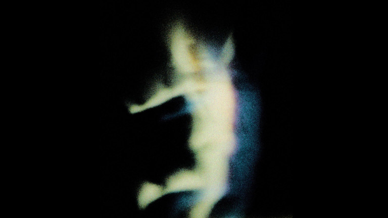 La dureté du mental: Image 4
