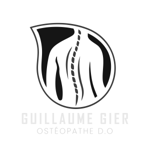 Guillaume Gier